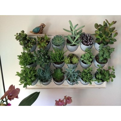 Jardín vertical modular