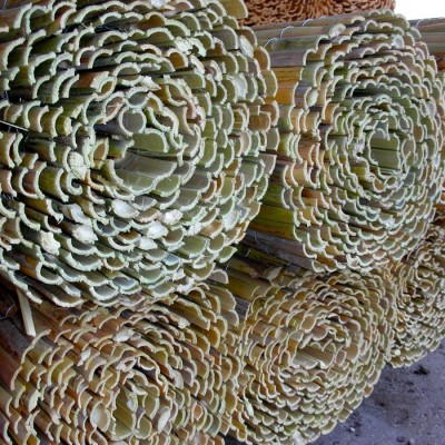 CAÑIZO RAJADO. ROLLO 1x5 METROS