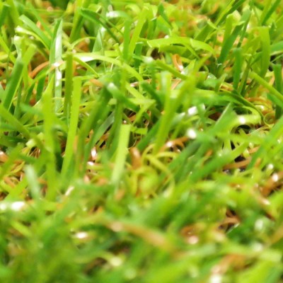 extensive 20 mm. 
