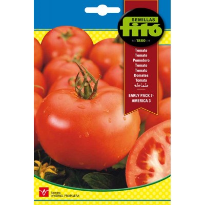 TOMATE