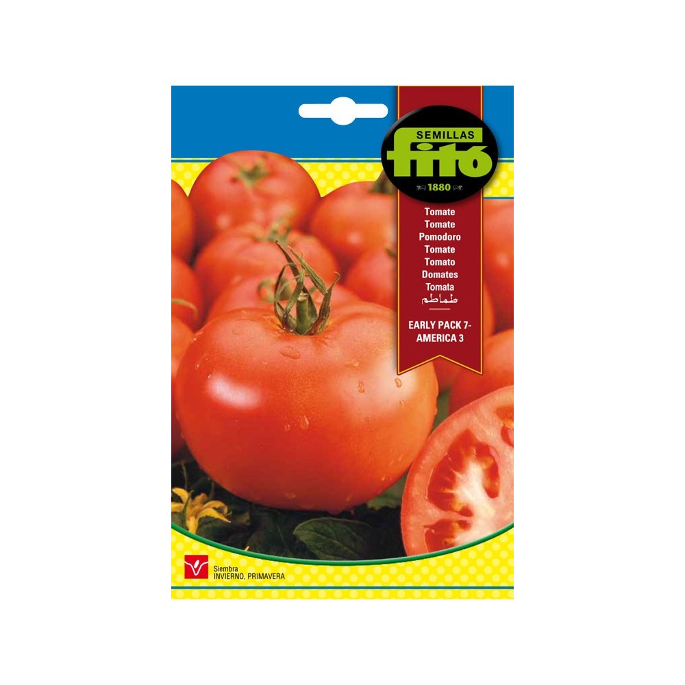 TOMATE