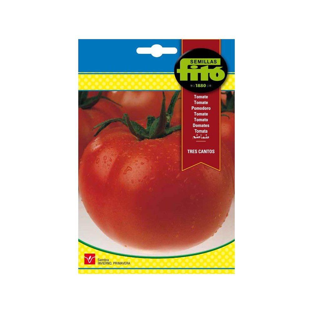 TOMATE