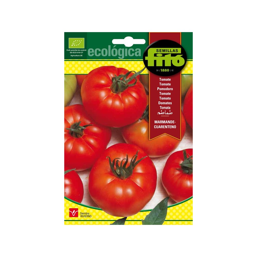 Tomate marmande-cuarenteno. Ecologica