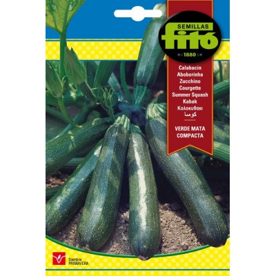 Calabacin verde mata compacta