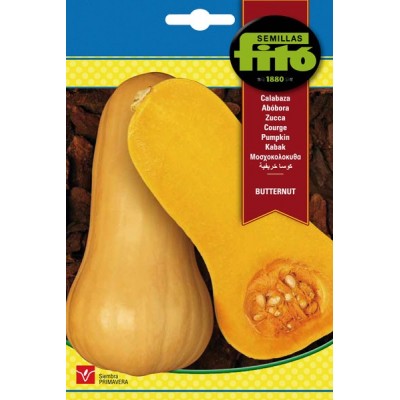 Calabaza butternut