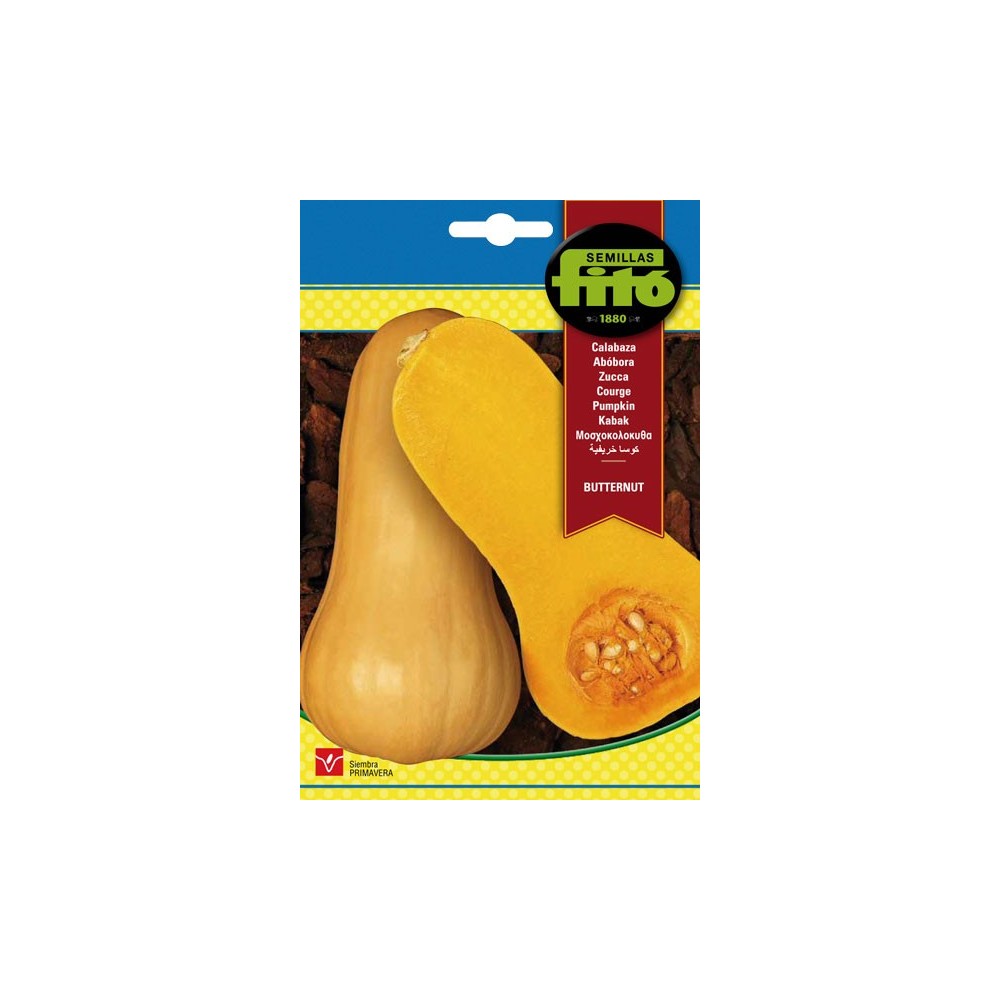 Calabaza butternut