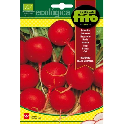 Rabanito redondo rojo-vermell. Ecologica