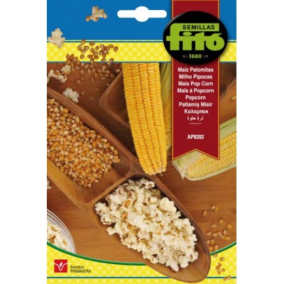 Maíz de Palomitas AP8202