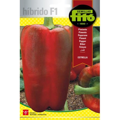 pimiento estrella híbrido