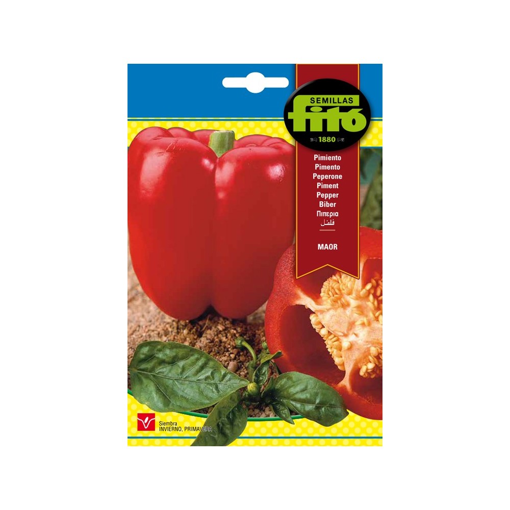 PIMIENTO MAOR