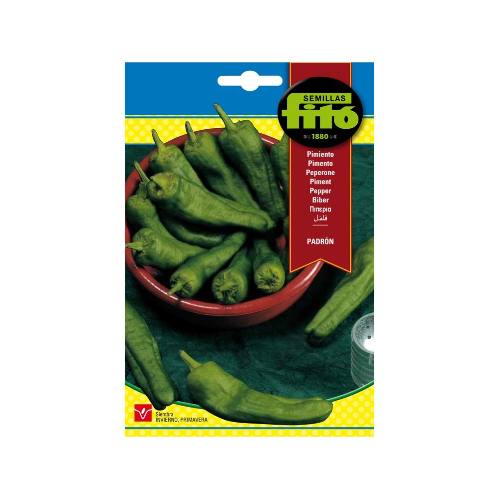 PIMIENTO DE PADRON