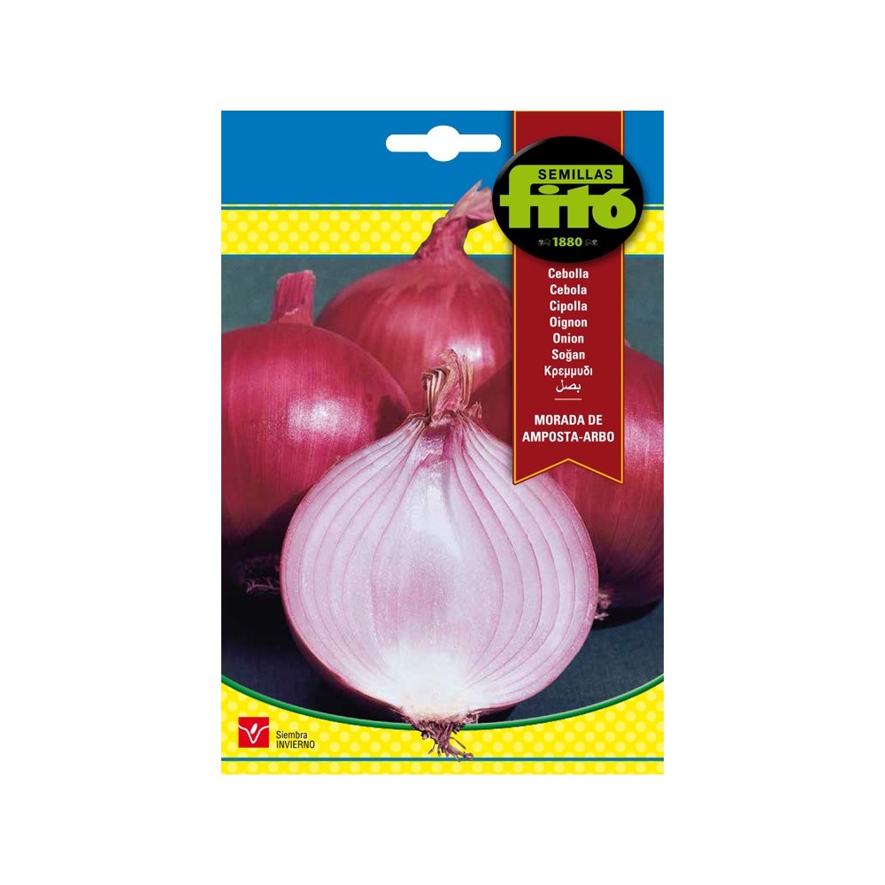 CEBOLLA MORADA DE AMPOSTA 