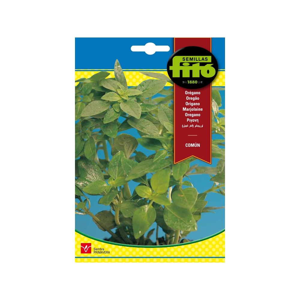 OREGANO COMUN