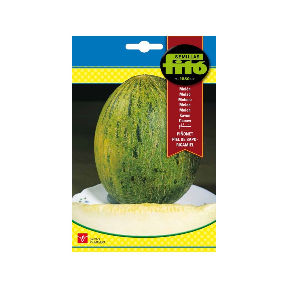 MELON RICAMIEL PIEL SAPO 
