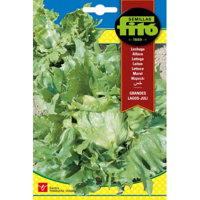 LECHUGA JULI