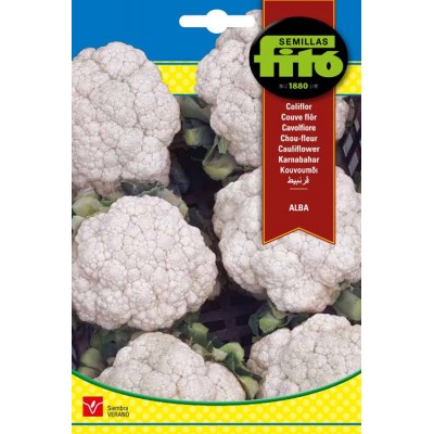 COLIFLOR ALBA 