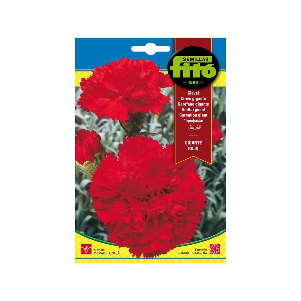 CLAVEL GIGANTE ROJO 