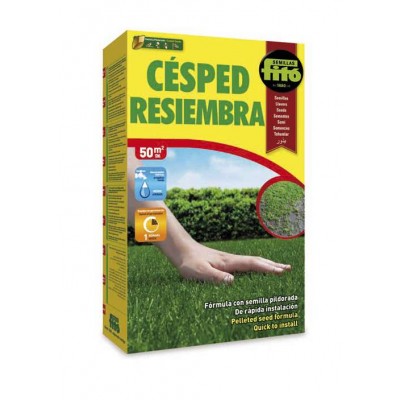 CESPED RESIEMBRA 1 KG