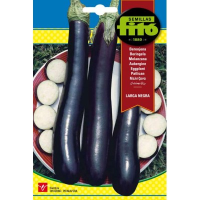 BERENJENA LARGA NEGRA 5 GRS 