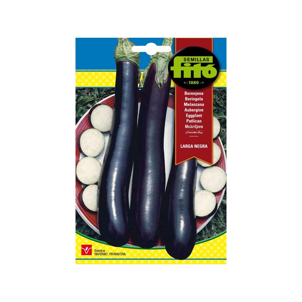 BERENJENA LARGA NEGRA 5 GRS 