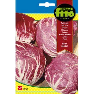 ACHICORIA ROJA DE CHIOGGIA. 6 GRS