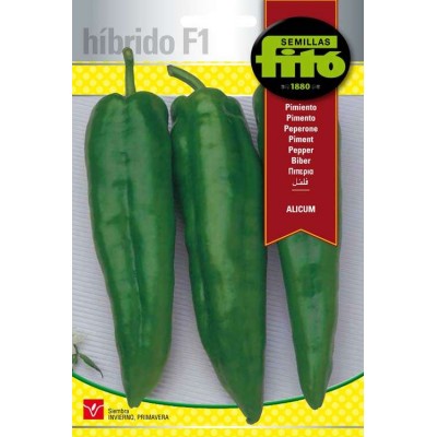 Pimiento Alicum
