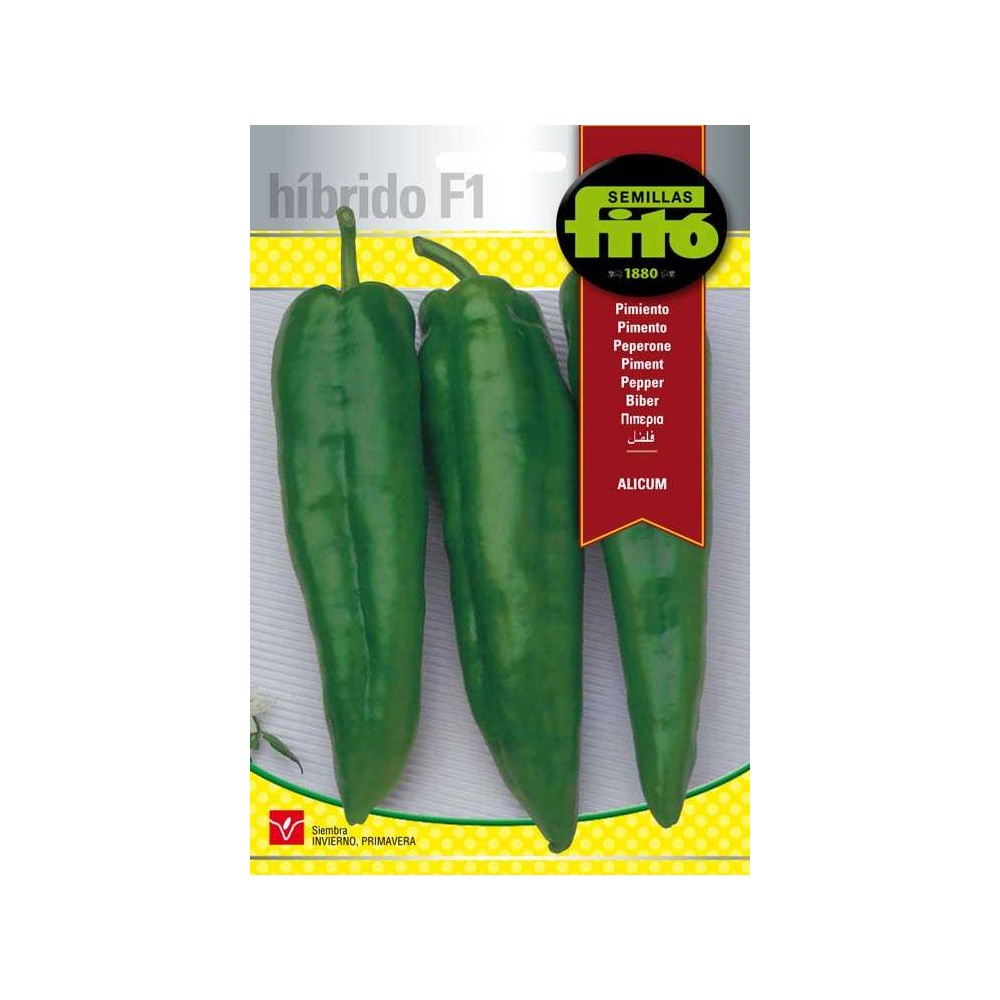 Pimiento Alicum