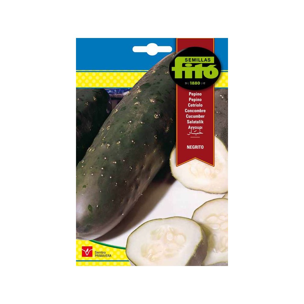 Semillas Pepino Negrito