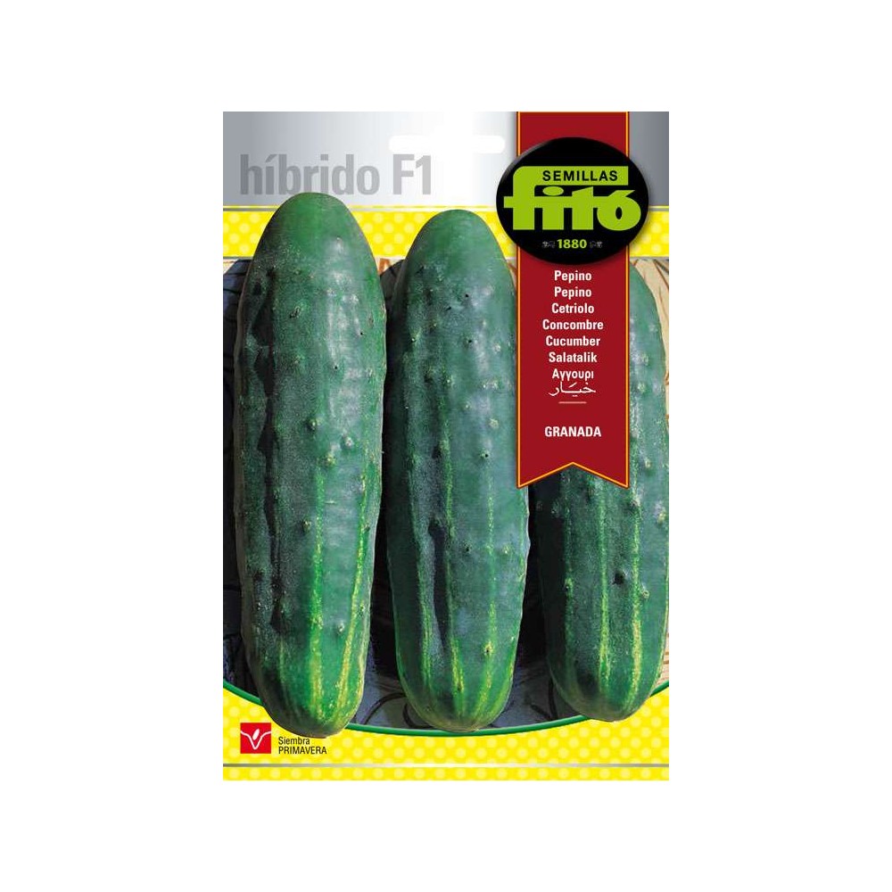 Pepino Granada Híbrido F1