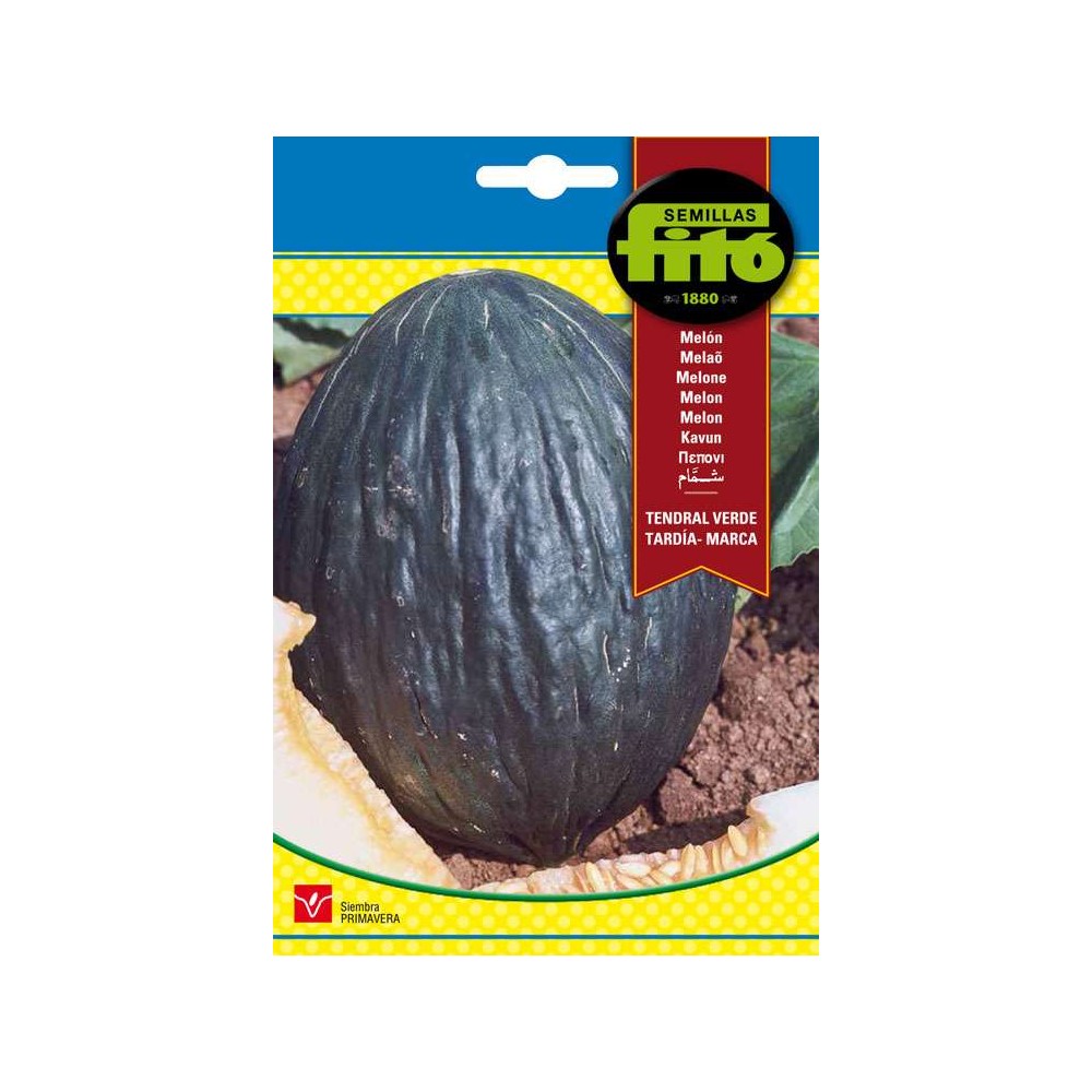 Semillas de Melón Tendral Verde