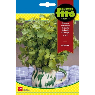 Semillas de Cilantro