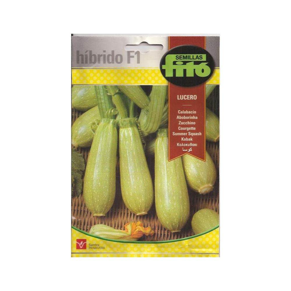 Semillas de Calabacín Híbrido f-1 Lucero