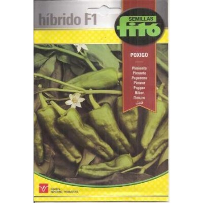 Pimiento Padrón Poxigo F1 Híbrido