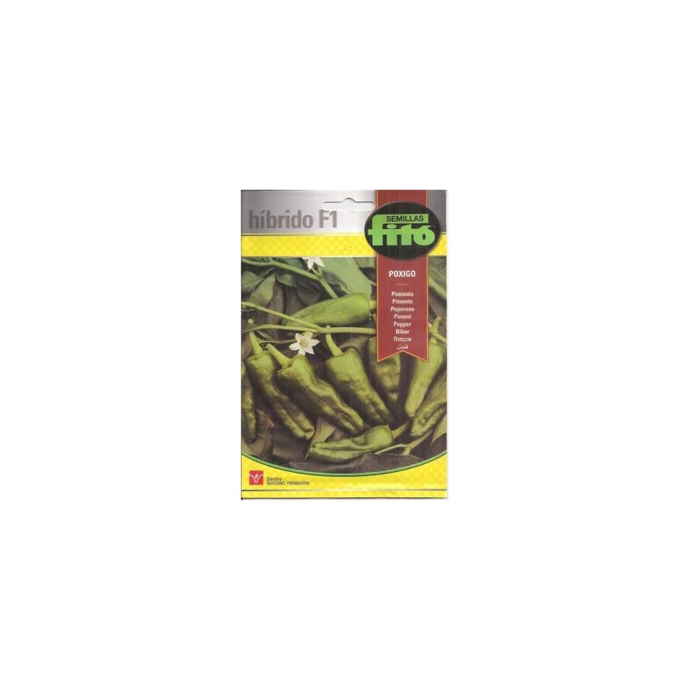 Pimiento Padrón Poxigo F1 Híbrido