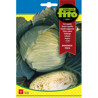 COL REPOLLO 