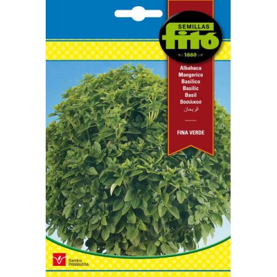 Semillas de Albahaca Fina Verde
