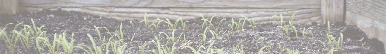 MESAS DE CULTIVO